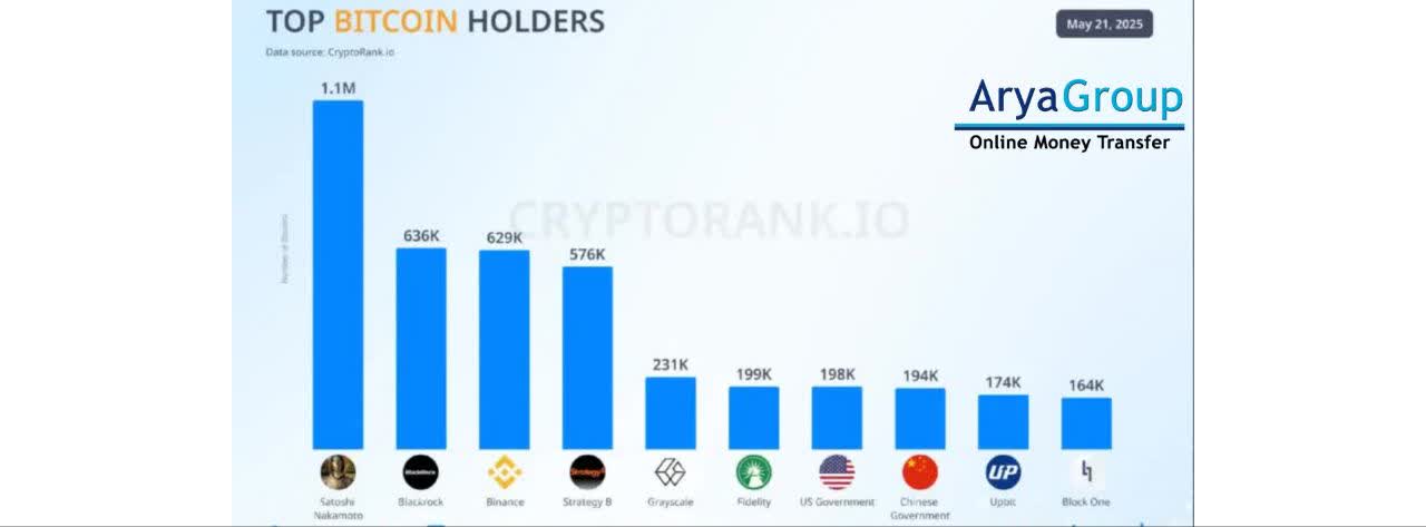 Top 10 Bitcoin Holders Global