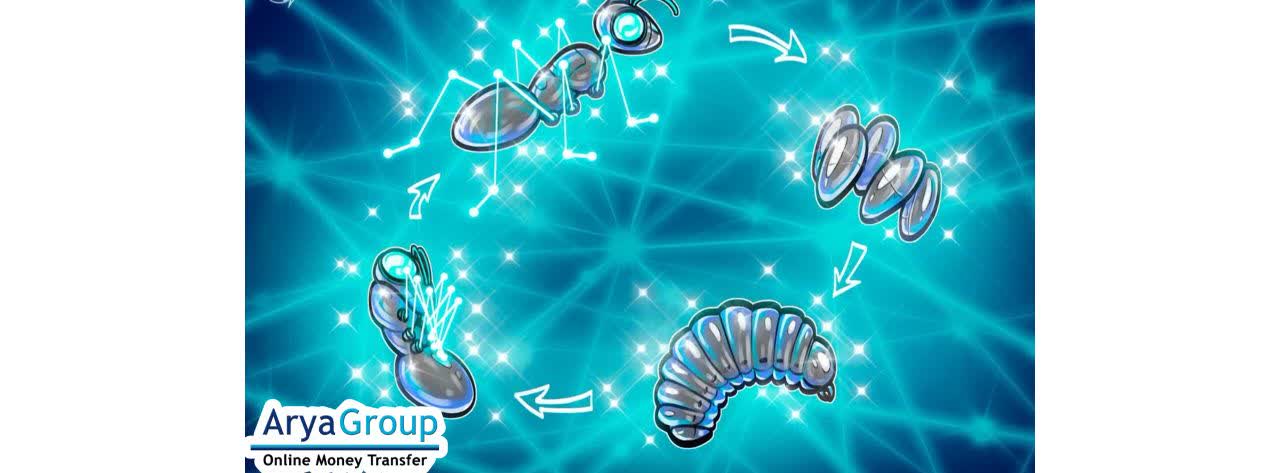 آیا چرخه بیت‌کوین زنده است؟