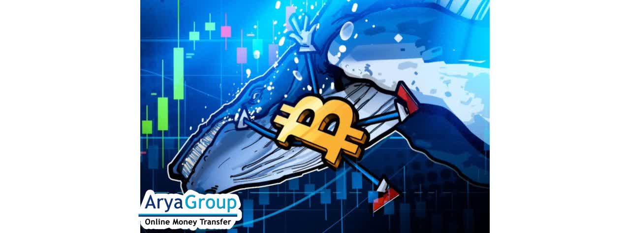 Bitcoin Whale Bets Big Again