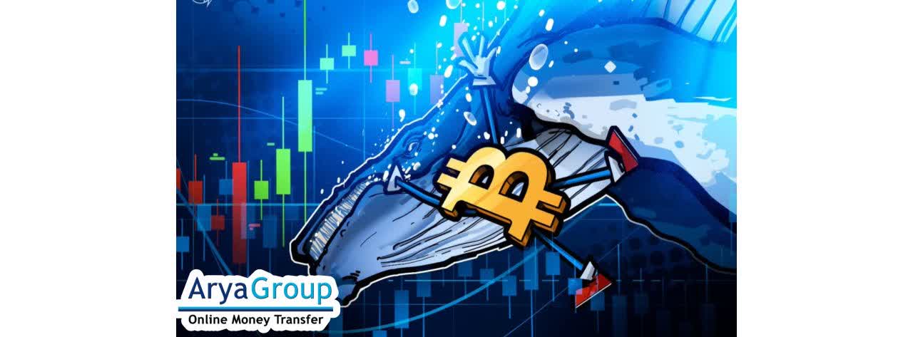 Bitcoin Whales Trigger Price Fears