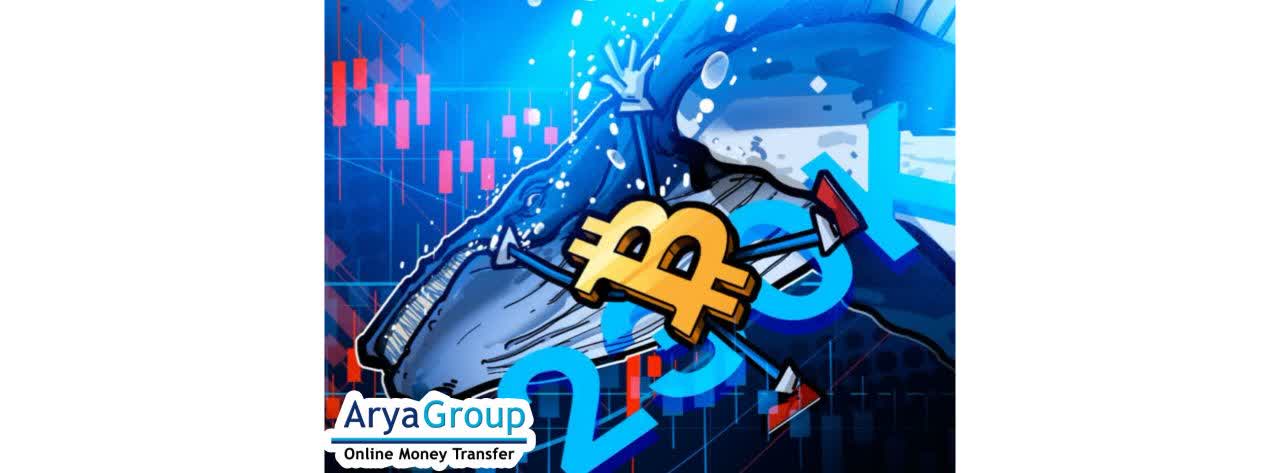 Whale Accumulation Reshapes Bitcoin